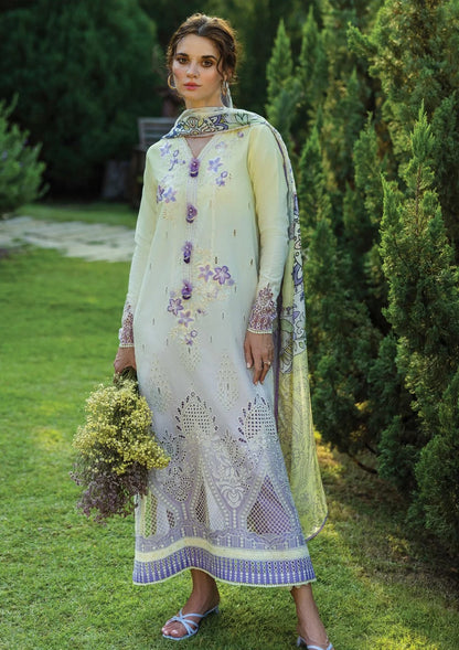 MUSHQ SOLACE GIOIA MSL2501